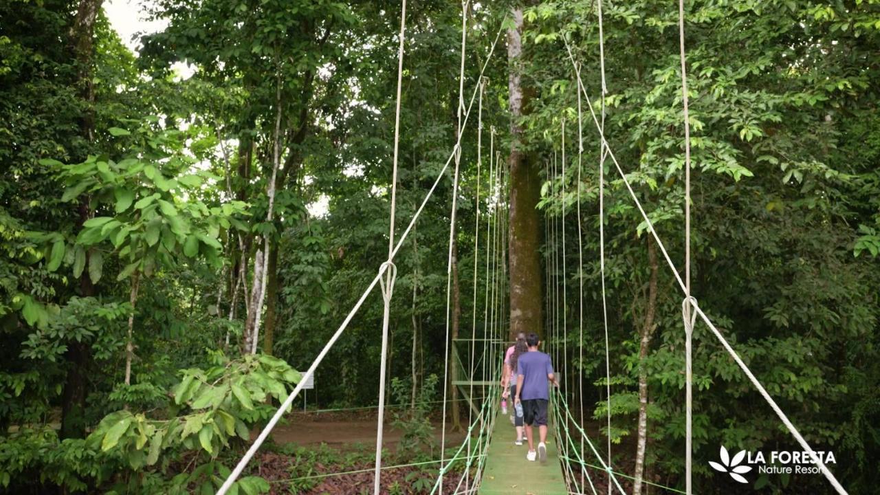 La Foresta Nature Resort Quepos Buitenkant foto