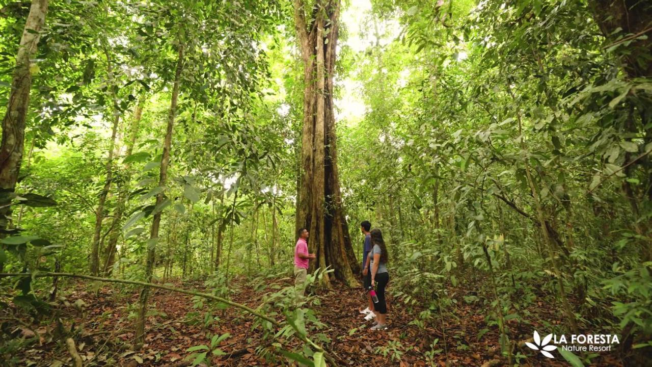 La Foresta Nature Resort Quepos Buitenkant foto