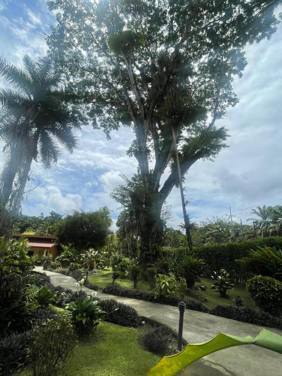 La Foresta Nature Resort Quepos Buitenkant foto